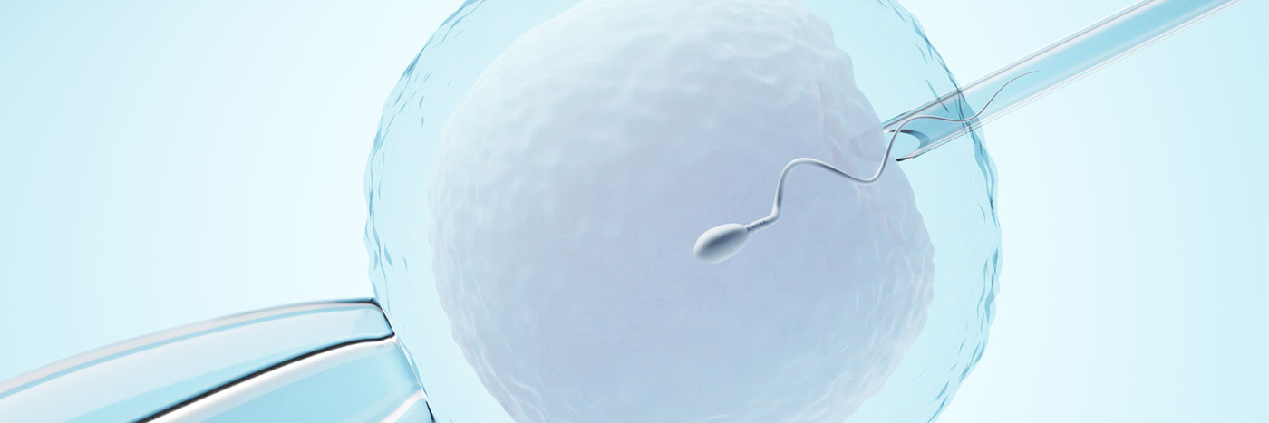 Sperm Donasyonu Kıbrıs