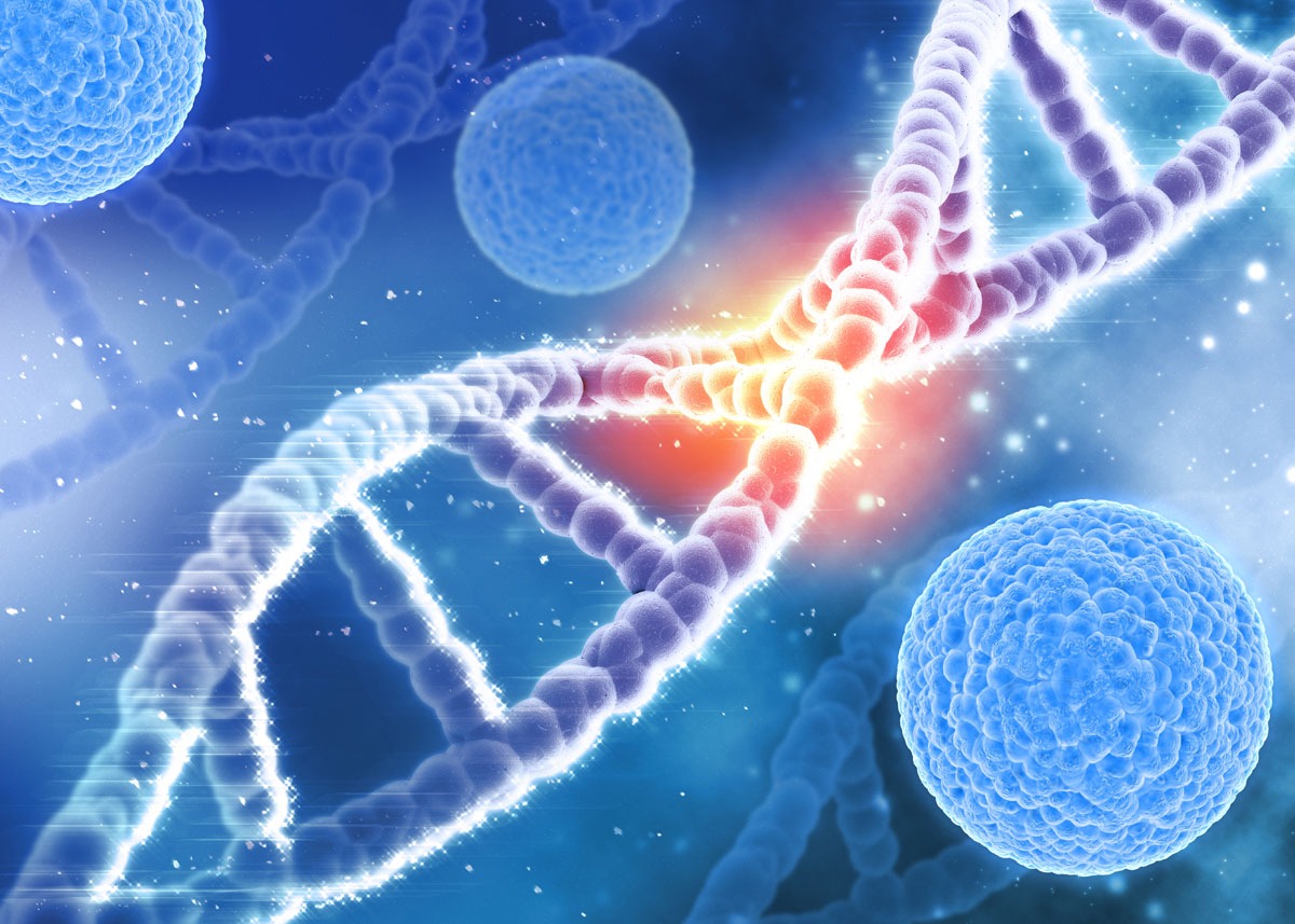 PGT (Preimplantasyon Genetik Tarama)