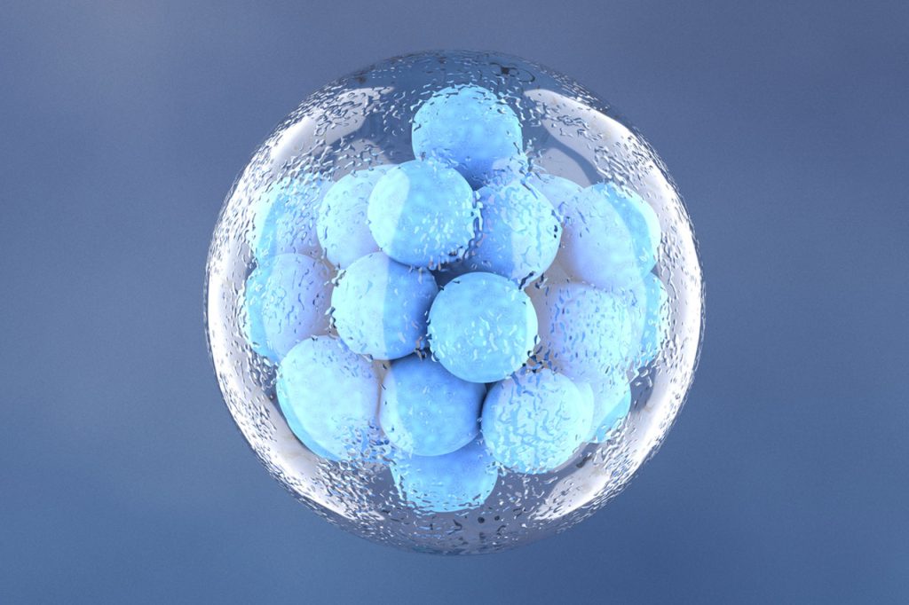 Türkiye’de Yumurta Donasyonu Yapılıyor mu?