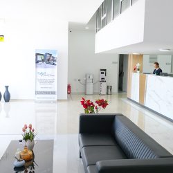 Clavis Tüp Bebek Kıbrıs