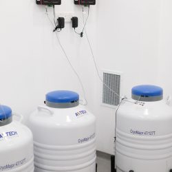 Clavis Tüp Bebek Kıbrıs