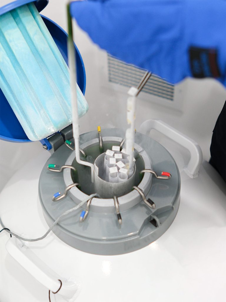 Clavis Tüp Bebek Kıbrıs