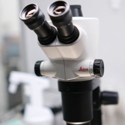 Clavis Tüp Bebek Kıbrıs