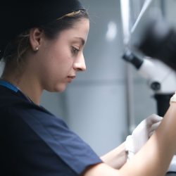 Clavis Tüp Bebek Kıbrıs