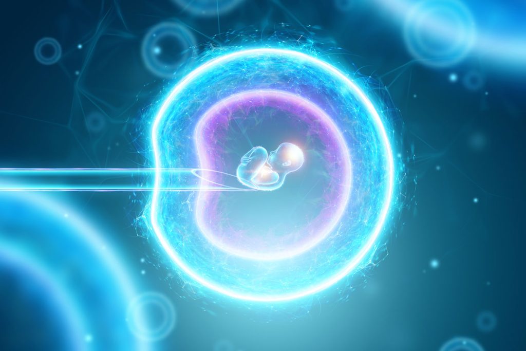 Embriyoda Cinsiyet Tayini