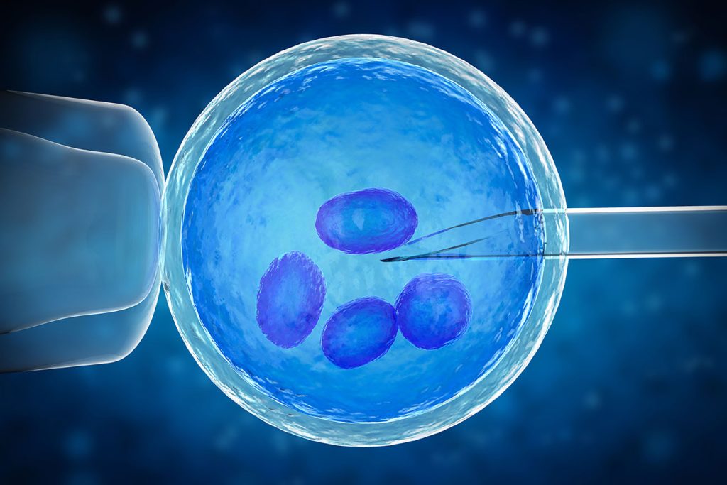 Yumurta Donasyonu Riskleri